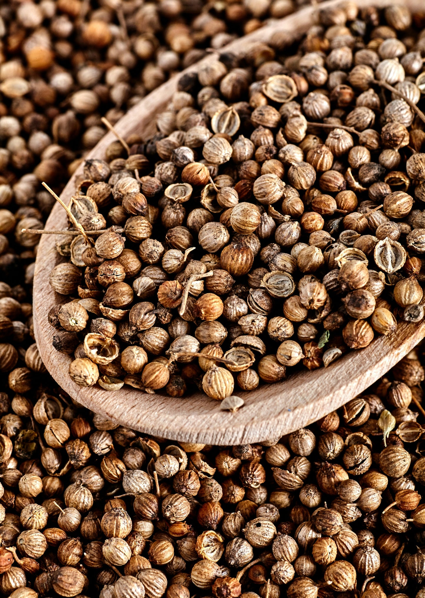 Coriander Seeds packed in the UK